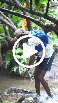 BIB:  <button type="button" onclick="openModal(27508948)" class="btn btn-primary btn-sm float-right" data-toggle="modal" data-target=".modal-high-quality">
                <i class="fa fa-download"></i> Download
                </button>